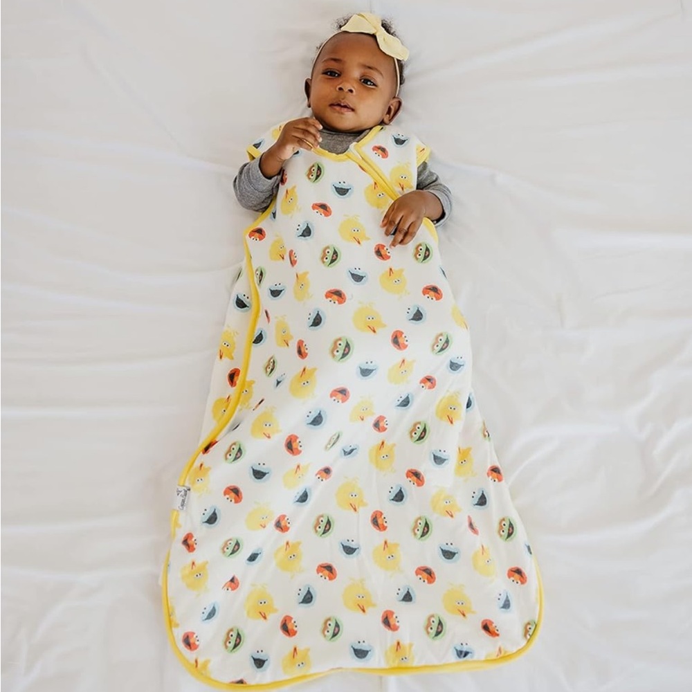 Copper Pearl Sesame Street Cloud Sleep bag 12-18M - Picture 3 of 4